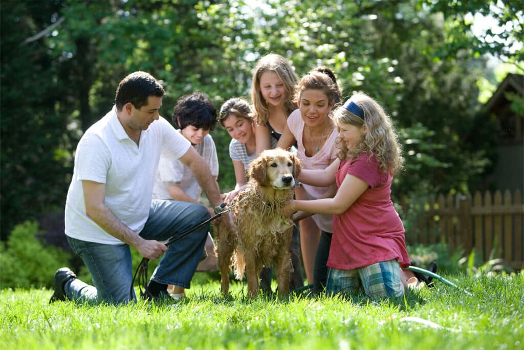 Family washing a golden retriever outdoors on a sunny day in a grassy yard.